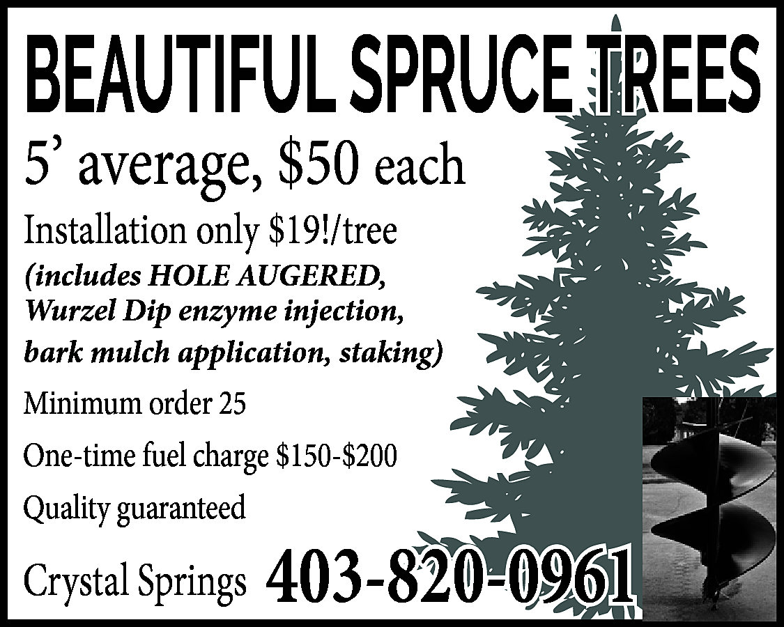 BEAUTIFUL SPRUCE TREES <br>5’ average,  BEAUTIFUL SPRUCE TREES  5’ average, $50 each  Installation only $19!/tree    (includes HOLE AUGERED,  Wurzel Dip enzyme injection,  bark mulch application, staking)    Minimum order 25  One-time fuel charge $150-$200  Quality guaranteed    Crystal Springs    403-820-0961    
