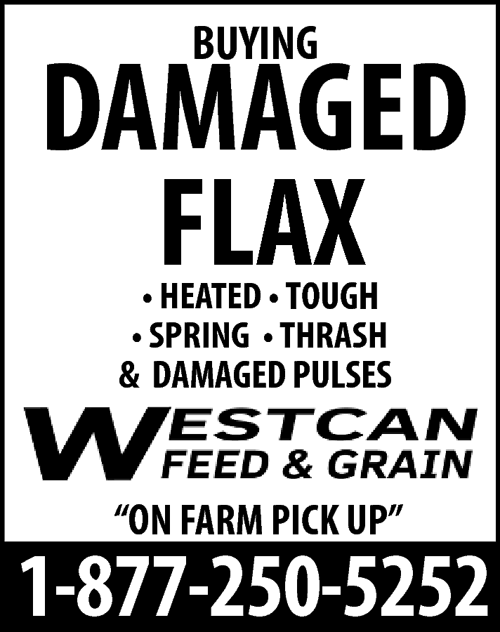 BUYING <br> <br>DAMAGED <br>FLAX <br>•  BUYING    DAMAGED  FLAX  • HEATED • TOUGH  • SPRING • THRASH  & DAMAGED PULSES    “ON FARM PICK UP”    1-877-250-5252    