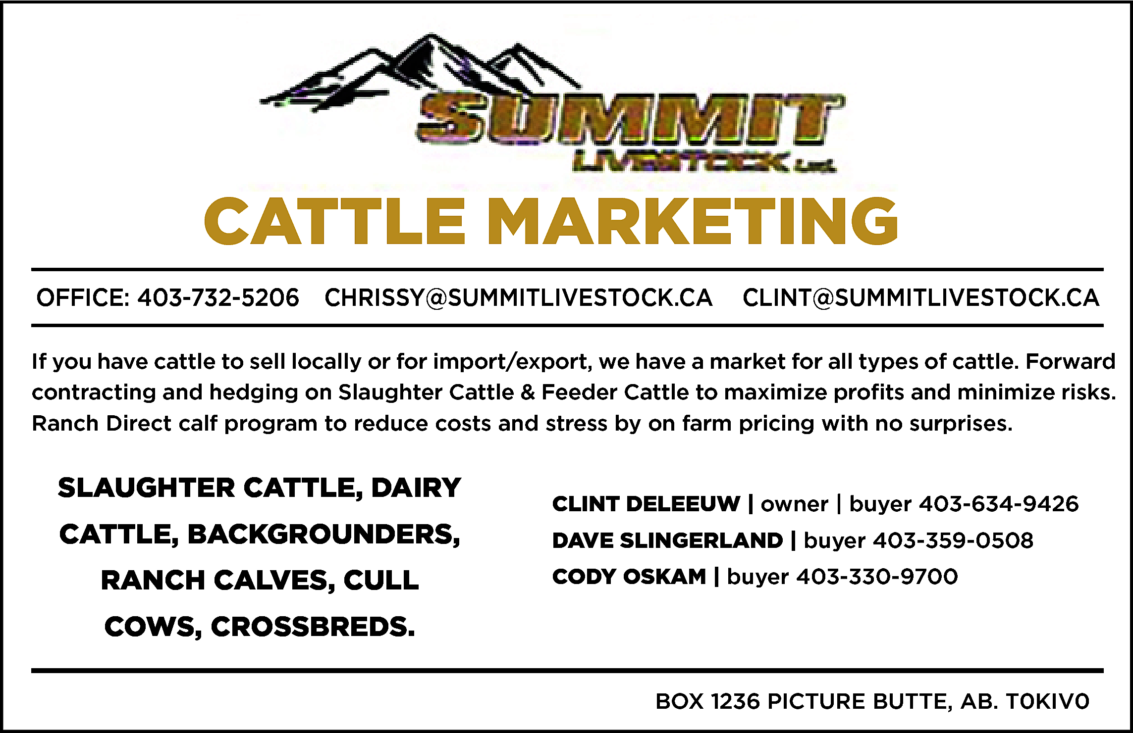 CATTLE MARKETING <br>OFFICE: 403-732-5206 CHRISSY@SUMMITLIVESTOCK.CA  CATTLE MARKETING  OFFICE: 403-732-5206 CHRISSY@SUMMITLIVESTOCK.CA    CLINT@SUMMITLIVESTOCK.CA    If you have cattle to sell locally or for import/export, we have a market for all types of cattle. Forward  contracting and hedging on Slaughter Cattle & Feeder Cattle to maximize profits and minimize risks.  Ranch Direct calf program to reduce costs and stress by on farm pricing with no surprises.    SLAUGHTER CATTLE, DAIRY  CATTLE, BACKGROUNDERS,  RANCH CALVES, CULL    CLINT DELEEUW | owner | buyer 403-634-9426  DAVE SLINGERLAND | buyer 403-359-0508  CODY OSKAM | buyer 403-330-9700    COWS, CROSSBREDS.  BOX 1236 PICTURE BUTTE, AB. T0KIV0    