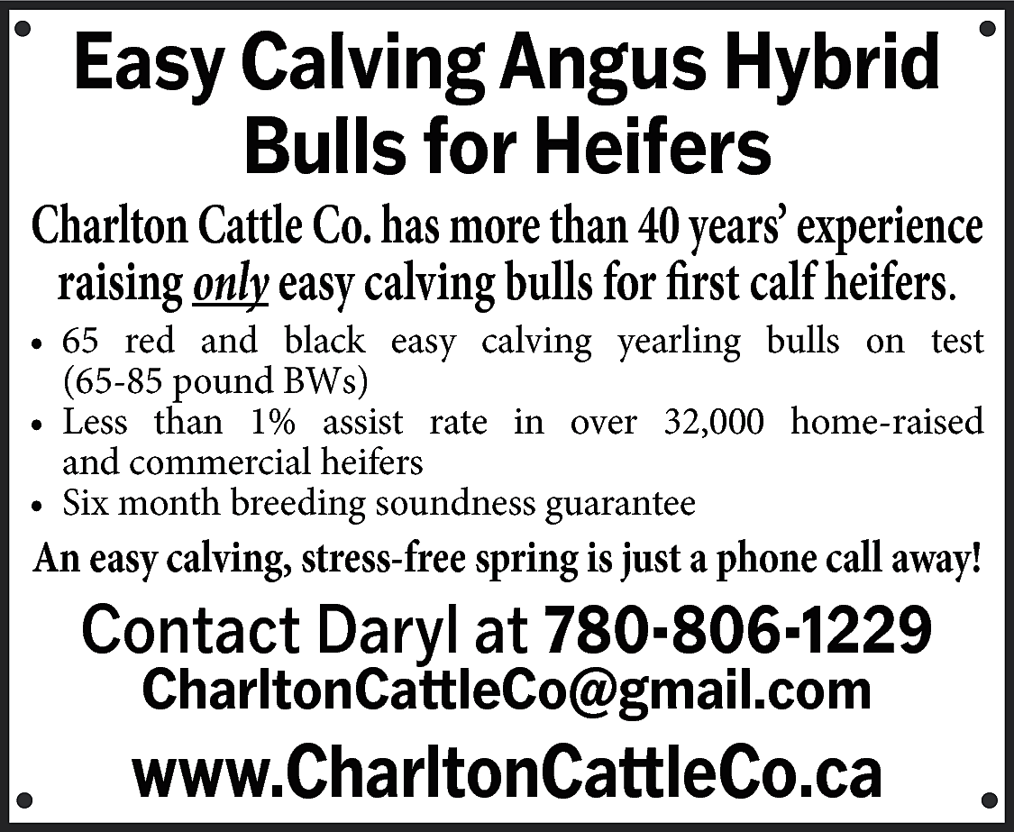 Easy Calving Angus Hybrid <br>Bulls  Easy Calving Angus Hybrid  Bulls for Heifers    Charlton Cattle Co. has more than 40 years’ experience  raising only easy calving bulls for first calf heifers.    •	 65 red and black easy calving yearling bulls on test  (65-85 pound BWs)  •	 Less than 1% assist rate in over 32,000 home-raised  and commercial heifers  •	 Six month breeding soundness guarantee    An easy calving, stress-free spring is just a phone call away!    Contact Daryl at 780-806-1229  CharltonCattleCo@gmail.com    www.CharltonCattleCo.ca    