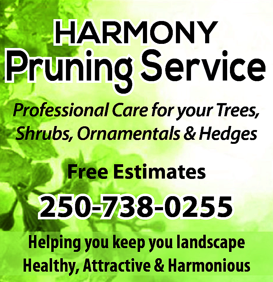 HARMONY <br> <br>Pruning Service <br>Professional  HARMONY    Pruning Service  Professional Care for your Trees,  Shrubs, Ornamentals & Hedges    Free Estimates    250-738-0255  Helping you keep you landscape  Healthy, Attractive & Harmonious    