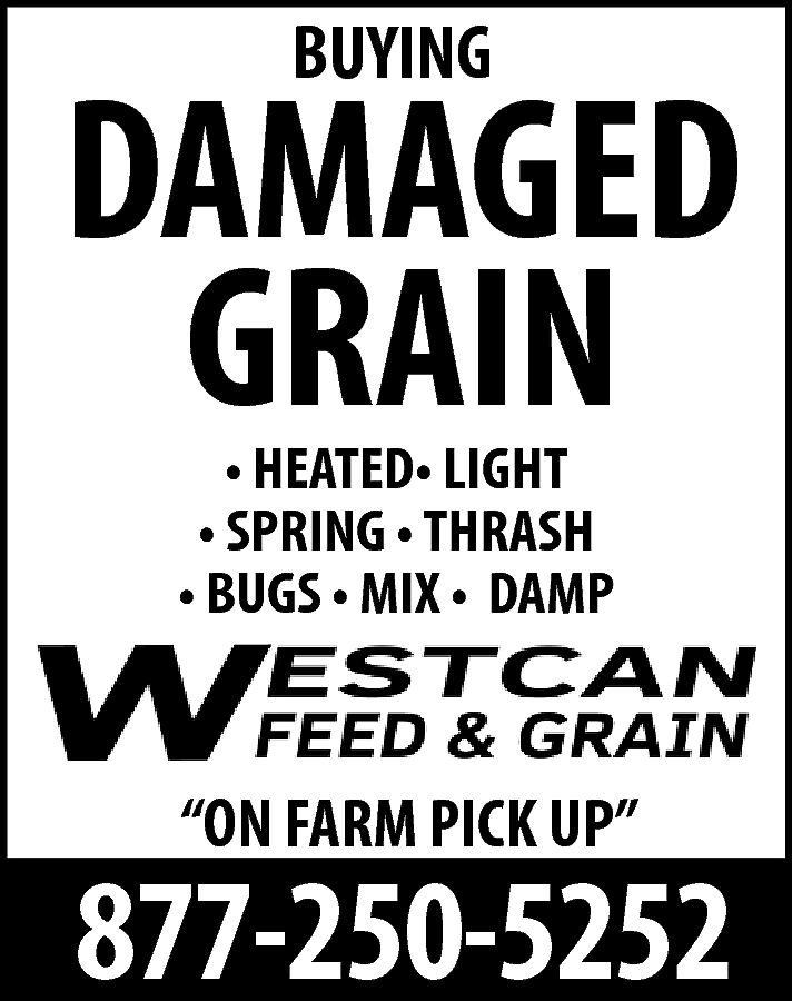 BUYING <br> <br>DAMAGED <br>GRAIN <br>•  BUYING    DAMAGED  GRAIN  • HEATED• LIGHT  • SPRING • THRASH  • BUGS • MIX • DAMP    “ON FARM PICK UP”    877-250-5252    