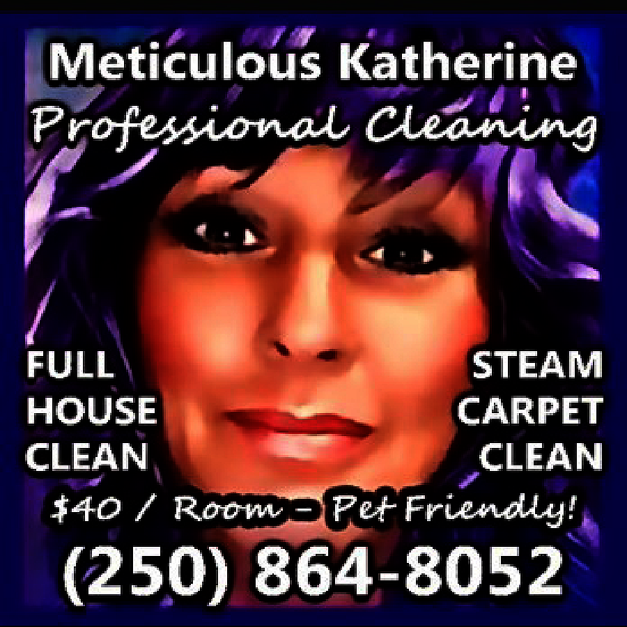 METICULOUS <br> <br>KATHERINE <br>Professional Steam  METICULOUS    KATHERINE  Professional Steam    CARPET  CLEANING  Vacuum Extraction    